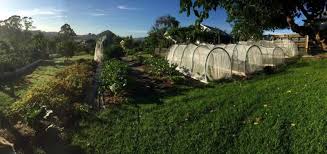 Vendo Terreno en Umamarca